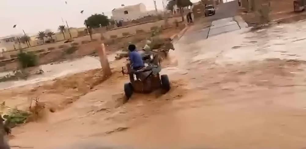 نجاة قائد عربة جرفتها السيول في ولاية تكانت